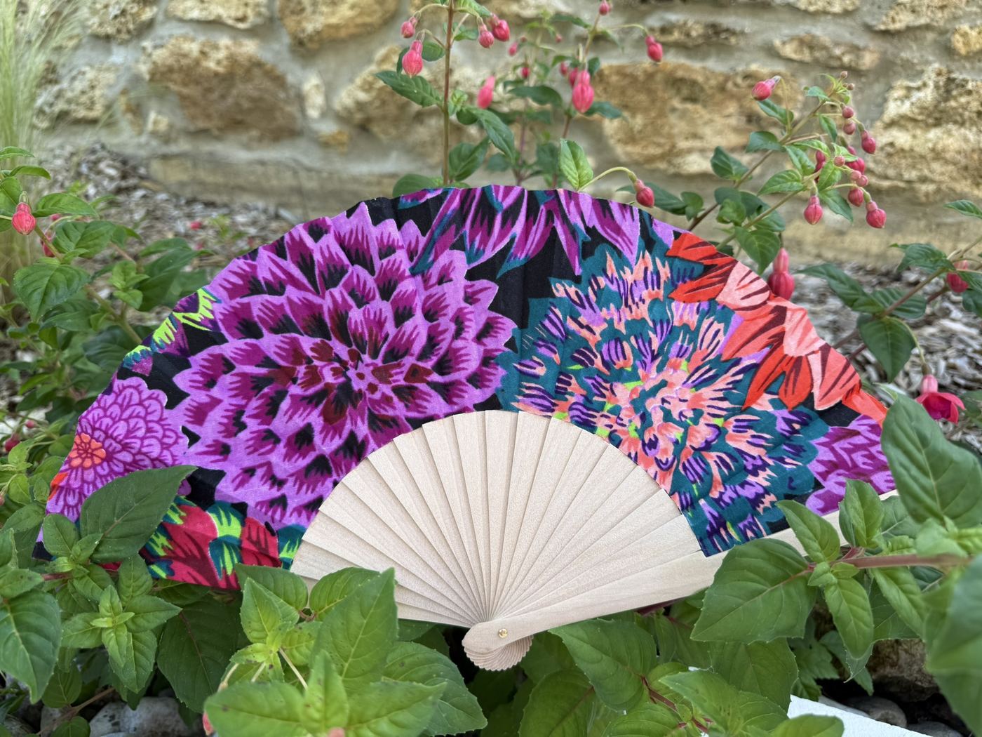 Éventail dahlias violets